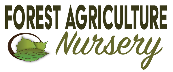 Forest Agriculture Nursery logo